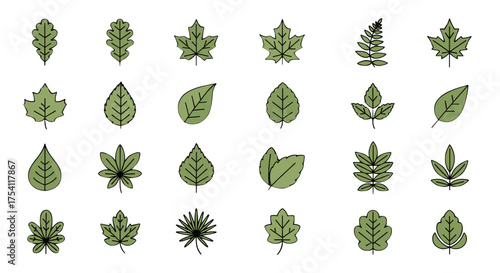 Leaf icon set vector illustration. Big collection of different green tree leaves. Simple doodle outline style. Botanical nature elements, foliage, plants. Oak, maple, palm.