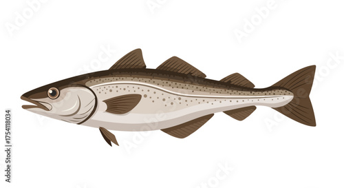Detailed vector illustration of a pollack fish emphasizing its unique fins and sleek body shape in side view illustration