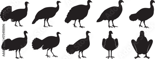 A group of Turkey silhouette vector, black and white silhouette vector illustration