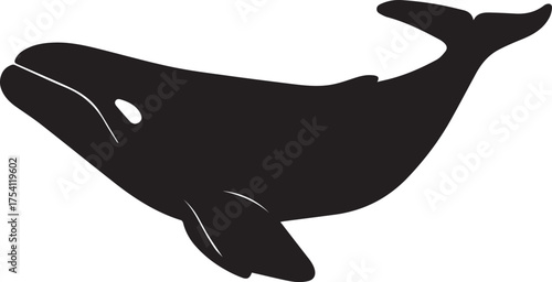 Whale silhouette vector, black and white silhouette vector illustration
