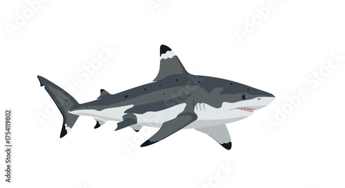 Illustrative depiction of a shark swimming gracefully in the ocean with clean simple background showcasing a unique design and character art style