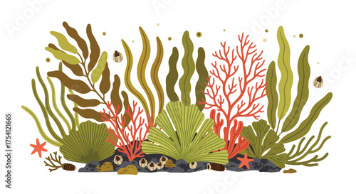Vibrant underwater garden scene featuring diverse seaweed, corals, and marine life thriving in a colorful aquatic ecosystem illustration