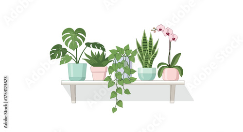 Assortment of indoor potted plants displayed elegantly on a floating shelf adding a fresh decorative touch to any contemporary interior spaces