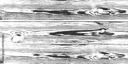 close-up view of rough black and white wood grain texture with horizontal lines and knot. White natural wood wall texture and background. Detailed macro view of felled tree trunk or stump