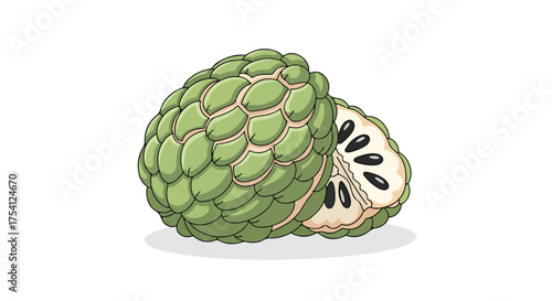 Exotic fruit composition: Hand-drawn sugar apple revealing luscious pulp and glossy black seeds against a minimalist background