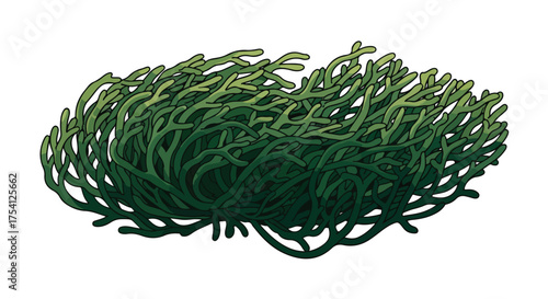 Stylized botanical illustration of intricate green coral-like plant formation with intertwining branches on white backdrop