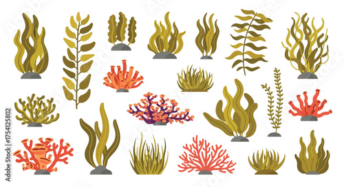 Collection of diverse cartoon seaweed and coral elements for underwater ecosystem illustration or aquatic-themed graphic design projects ready to use