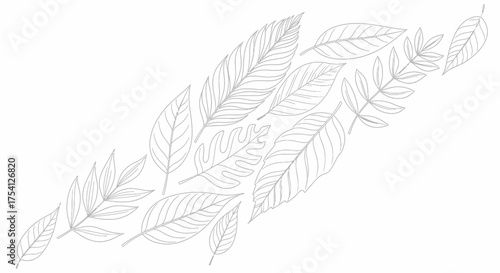 Elegant Botanical Line Art With Tropical Leaves On White Backdrop