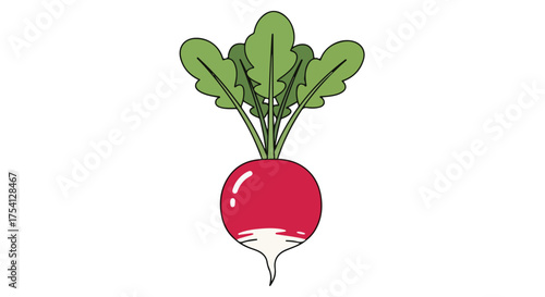 Isolated cartoon illustration of a fresh red radish with green leaves against a clean white backdrop adding vibrancy