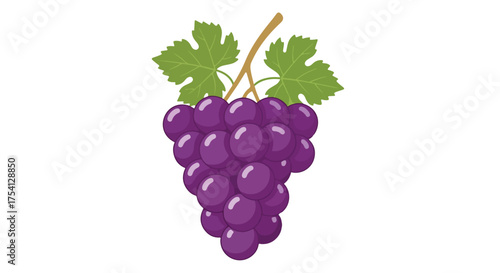 Vibrant vector illustration showcasing a bunch of ripe purple grapes with lush green leaves against a clean white backdrop