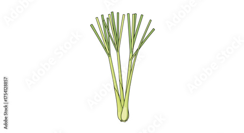 Elegant lemon grass illustration on a clean backdrop, a culinary and aromatic herb presentation that inspires healthy eating concepts