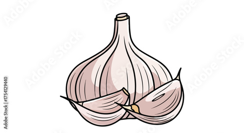 Stylized garlic bulb with cloves, hand-drawn illustration showcasing fresh cooking ingredient for culinary and dietary designs