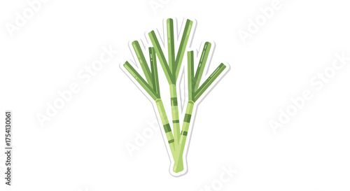 Illustration of fresh sugarcane stalks with green leaves isolated against a clean white backdrop representing natural agricultural products