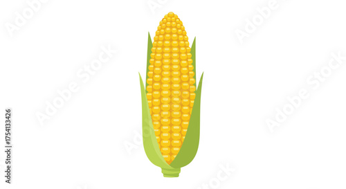 Vibrant vector illustration showcasing a ripe ear of corn with bright yellow kernels and fresh green husks against a clean white backdrop