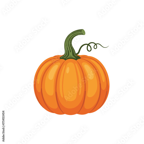 A round orange pumpkin with a green stem and curling vine is ready for harvesting and decoration.