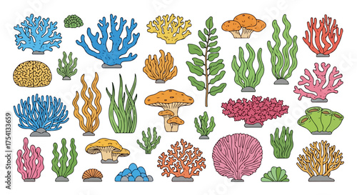 Diverse aquatic life assemblage: A vibrant array of coral, seaweed, and fantastical fungi illustrations against a crisp white backdrop forming an