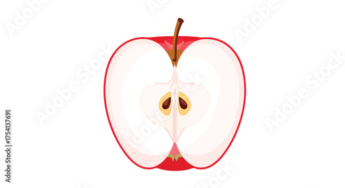 Artistic vector illustration of a sliced red apple showing the core and seeds against a clean white background