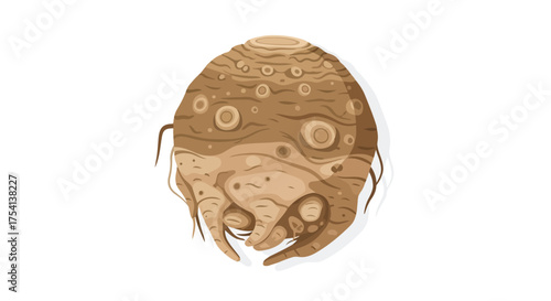 Stylized vector depiction of a whole celeriac root displaying its bulbous shape, textured skin, and small rootlets on a white background
