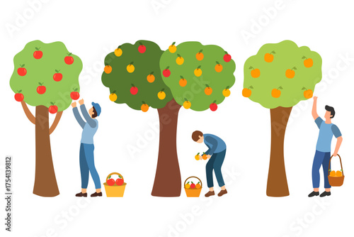 People Picking Fruits from Trees Illustration