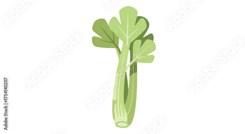 Illustration of fresh, vibrant celery with light green stalks and leaves against a clean white background ready for use