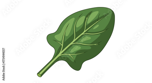 Isolated vivid spinach leaf illustration exhibiting vibrant green tones and pronounced venation on a stark white background artistic organic depiction