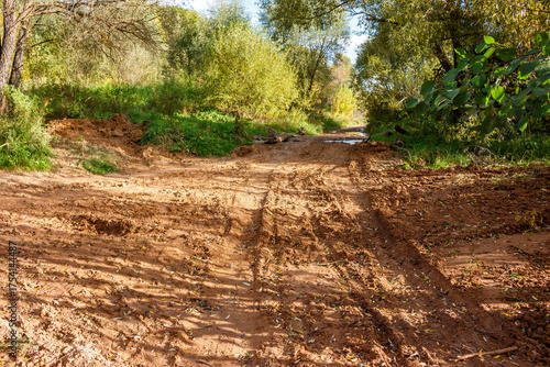 Muddy unpaved road with deep tire tracks winding through a lush green forest on a sunny day. Nature, adventure, rural landscape