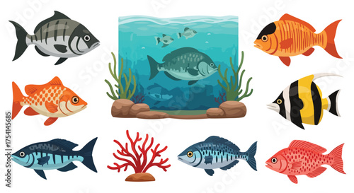 Collection of Various Colorful Fish Species in Diverse Poses, Including Freshwater and Saltwater Varieties, Against a White Backdrop Creating a
