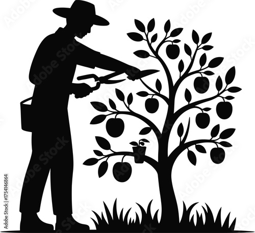 Gardener silhouette carefully pruning a small apple tree with shears