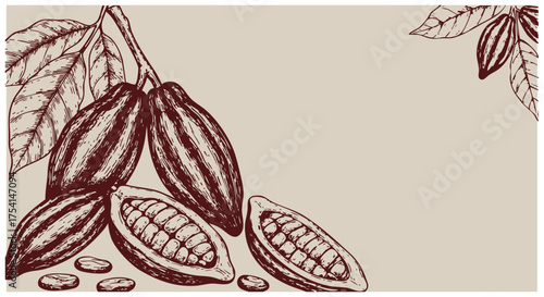 手描きの線画イラスト　カカオ・スイーツ素材、チョコレート、フレーム