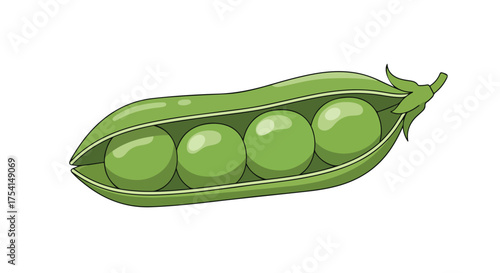 Illustration of a vibrant green pea pod showcasing four smooth, round peas inside its protective shell suggesting healthy food freshness and natural