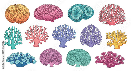 Collection of Vibrant and Unique Coral Reef Formations and Brains Artwork on a White Background