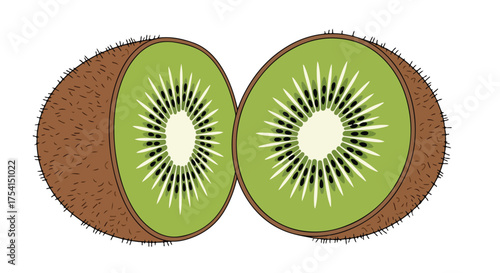 Whimsical Kiwi Halves: A Playful and Refreshing Fruity Illustration Depicting Two Sliced Kiwi Fruits