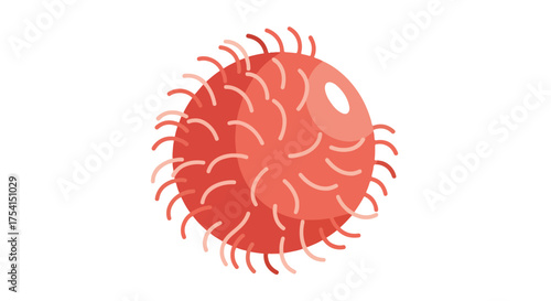 Stylized red spherical microorganism with short curved filaments emanating outward on white background displaying an illustration of an infectious