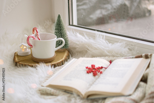 Xmas scene at window