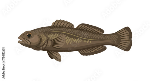 Detailed Illustration of a Brown Round Goby Fish Species Swimming in a Calm Setting Environment Aquatic Ecosystem