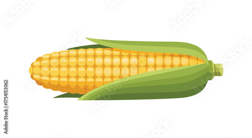 Vibrant Illustration of a Fresh Corn Cob with Green Husk and Golden Kernels Depicting Agricultural Harvest and Nutritional Sweetness