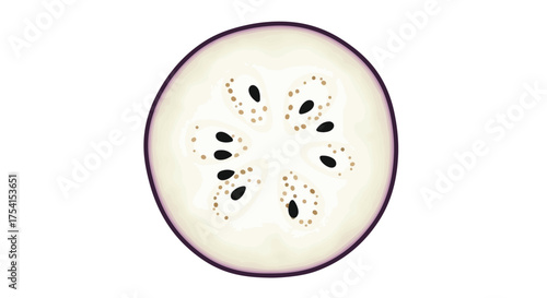 Detailed cross-section of a digitally illustrated eggplant, showcasing its seeds and internal structure with a minimalist background