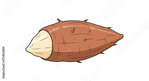 Illustration of a peeled cassava root, displaying its unique shape and textural details in a simple drawing style illustration isolated for