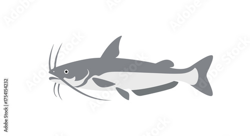 Simplified illustration of a catfish with minimalist shading conveying a clean design aesthetic suitable for use in educational materials or