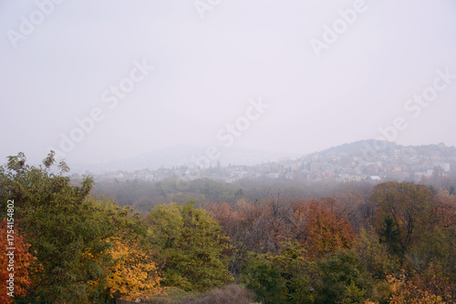 Foggy town from above
