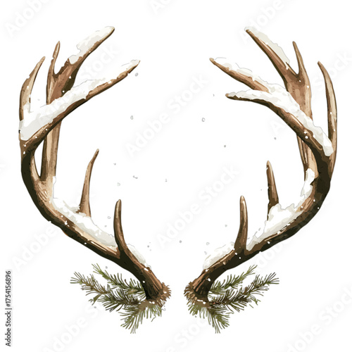 Snowy Deer Antlers with Pine Branches Clipart