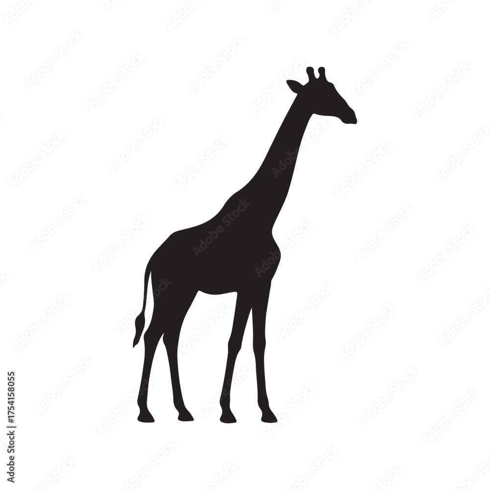 Fototapeta premium giraffe on white