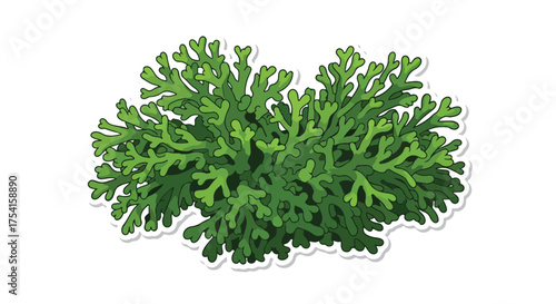 Stylized illustration of a lush green plant with intricate branching and textured details creating a vibrant and inviting botanical element