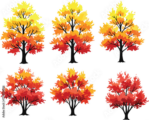Autumn trees in six cartoon variants with exposed branches and red-orange foliage, seasonal botanical illustration, nature anatomy concept, white background