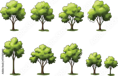 Deciduous trees in eight cartoon variants with green foliage and diverse canopy shapes, botanical illustration, nature anatomy concept, white background