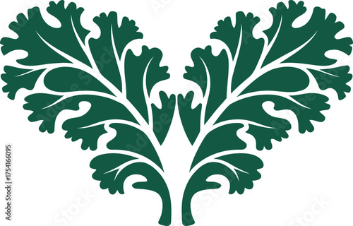 Heart shape formed by curly kale leaves in a striking silhouette