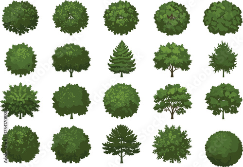 Top-down trees in twenty cartoon variants with diverse canopy shapes and foliage textures, botanical landscaping illustration, white background