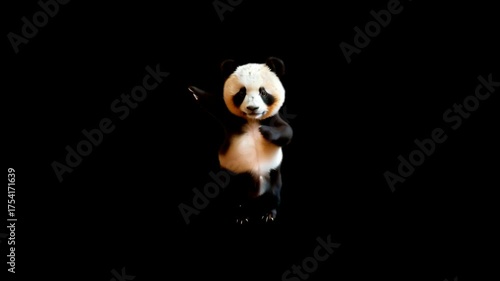panda dancing animated video 4K animated video . animated in basic color .celebration of dancing animation video . animated icons .

