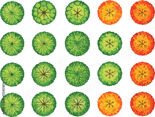 Top-down trees in twenty-five cartoon variants with green and autumn foliage, internal vein patterns, botanical landscaping illustration, white background