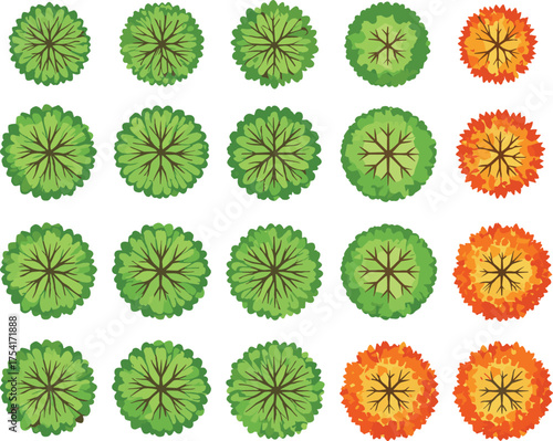 Top-down trees in twenty-five cartoon variants with green and autumn foliage, internal branch patterns, botanical landscaping illustration, white background